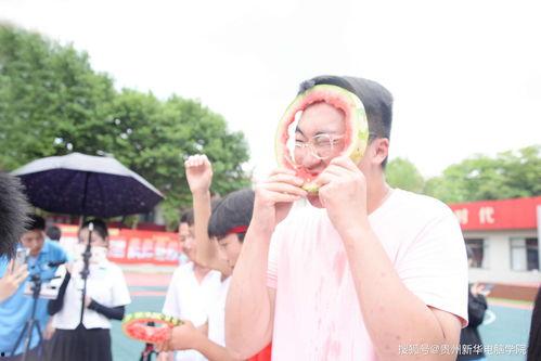 吃瓜娱乐学校,揭秘娱乐圈背后的秘密与趣味